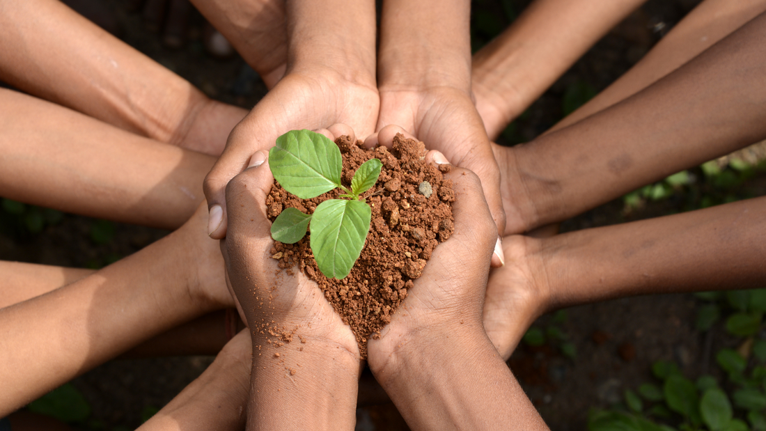Why SaveSorb's Natural Plant Material Absorbent is the Best Alternative to Kitty Litter for Spill Management